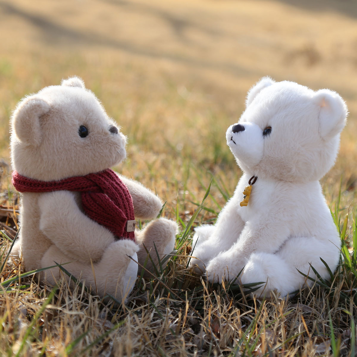 详情-八寸熊 (4).jpg