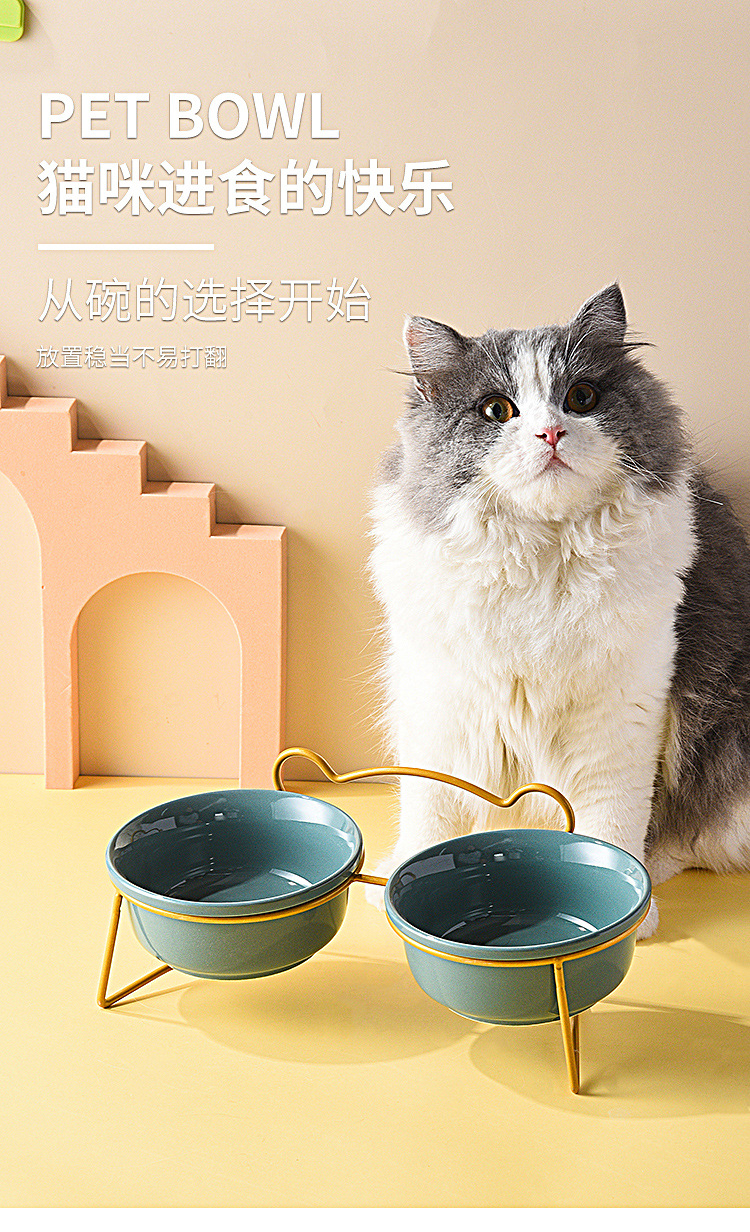 2022猫碗_01.jpg