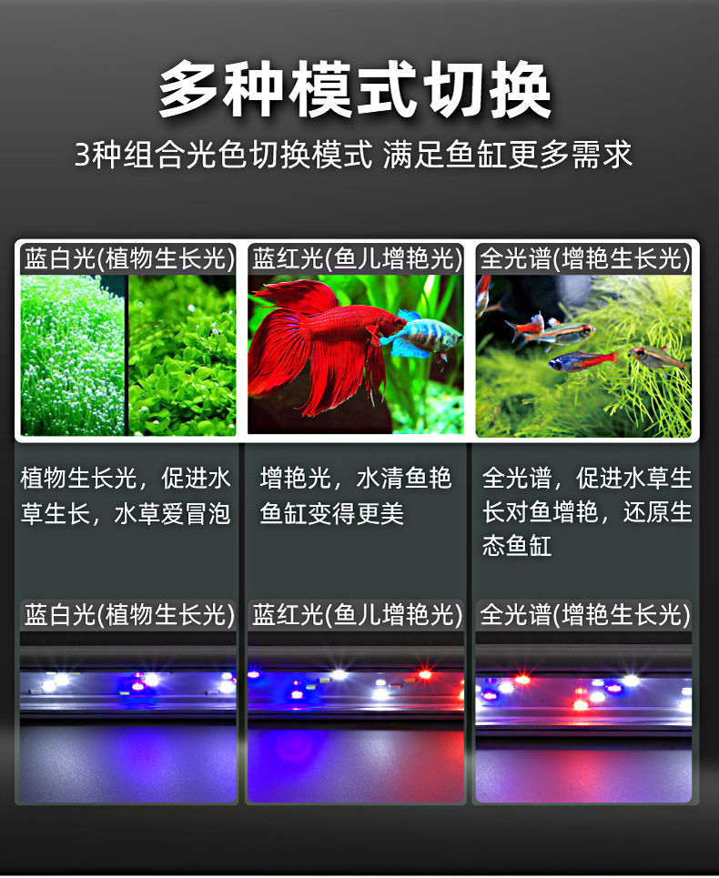 5f6597a7-dcbe-42ef-9aa1-80e652afc40a.jpe