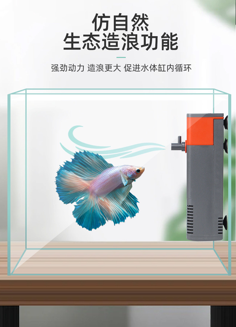 56e5bf33-db6d-4a46-baf1-7ce2c87f45a0.jpe