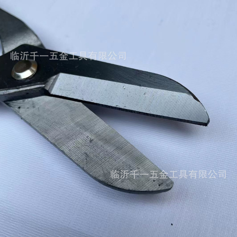 副本_副本_副本_副本_副本_主图2__2023-08-21