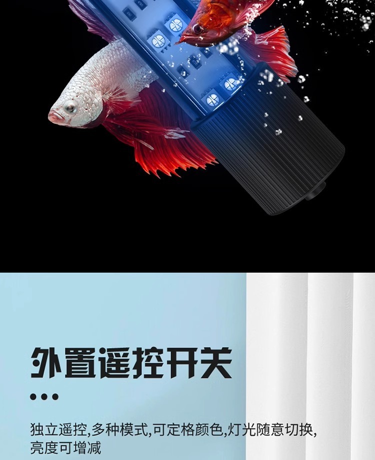 9f734856-31b2-4356-bc40-ffa9a1ed3252.jpe