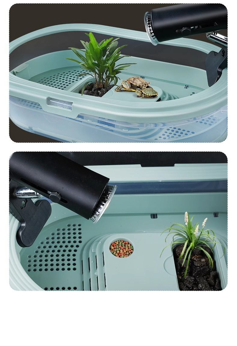 00d9a33f-9402-4553-b429-a65e6dd7de6c.jpe