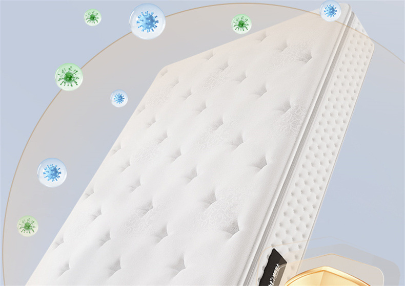 90f70f23-2f17-4523-8d75-3f76fb62b927.jpe