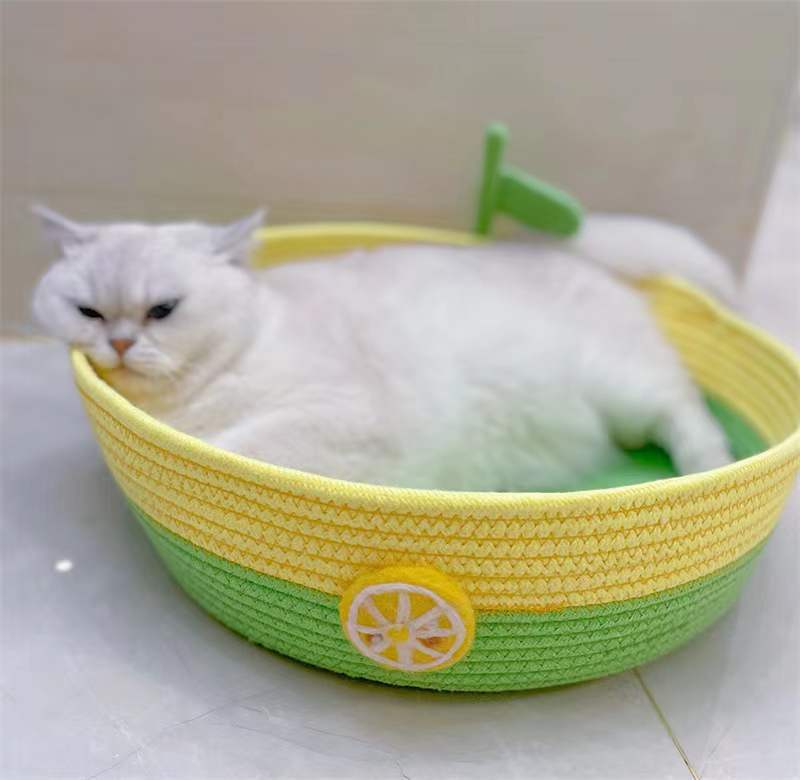 微信图片_20220707092625