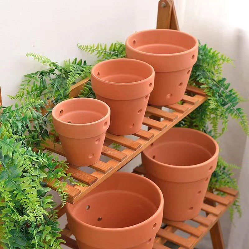 O1CN01P7kMHJ2JdreKvXZb6_!!2214