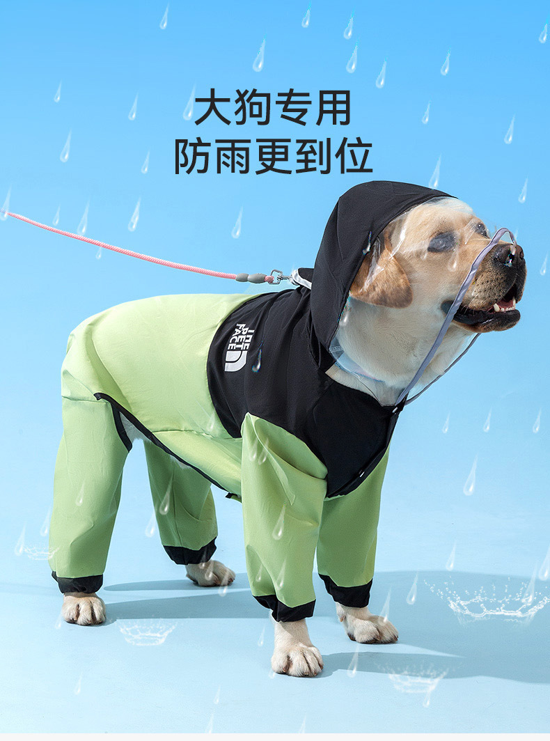 f4c0a3c0-a2de-4010-b73e-96c5ff123d03.jpe