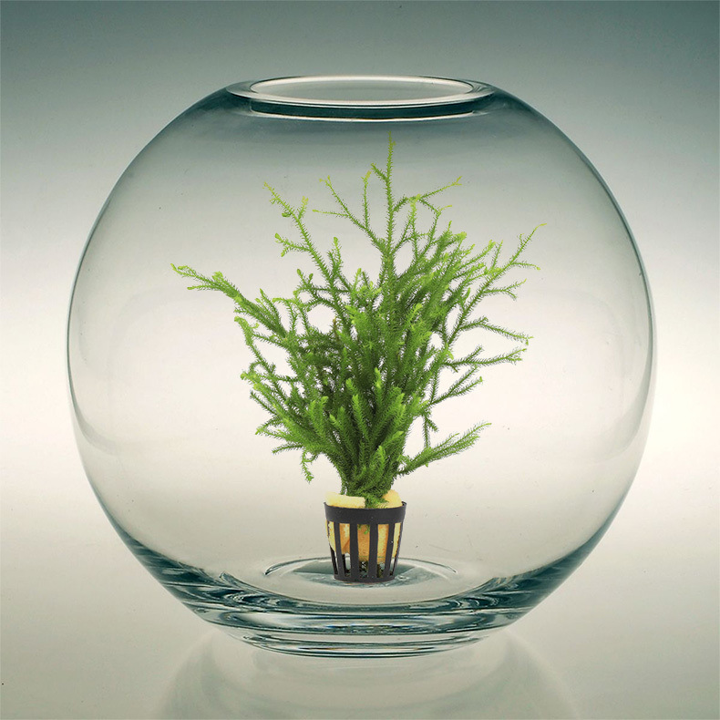 3d3b1bd6-4184-45b3-99f1-6d8d86064fec.jpe