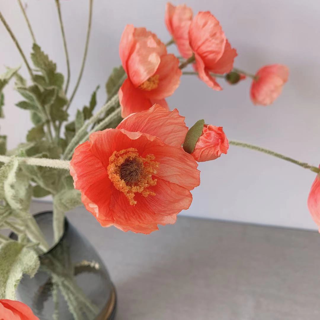 d7d2a7962a838d4e9c06cf89b263bc