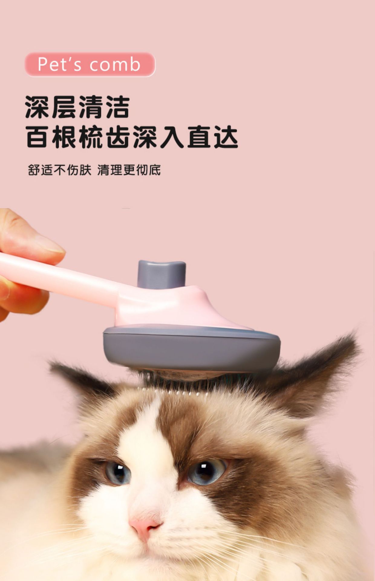 详情-09.jpg