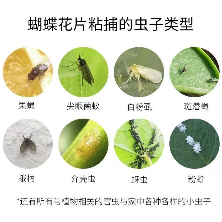4c6d8cea-c6ad-4ee4-b317-49f988319b39.jpe