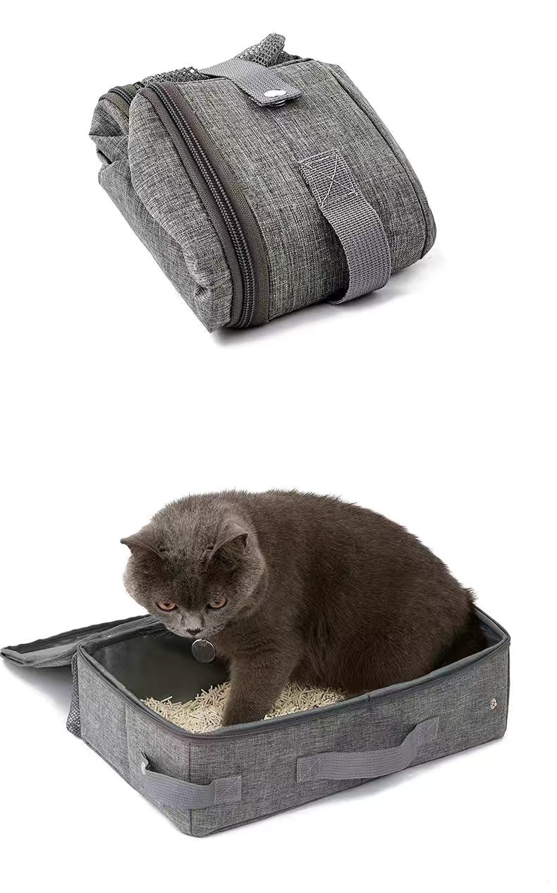 66ffcd0b-a299-46a1-ba92-6d9fae6b66f3.jpe