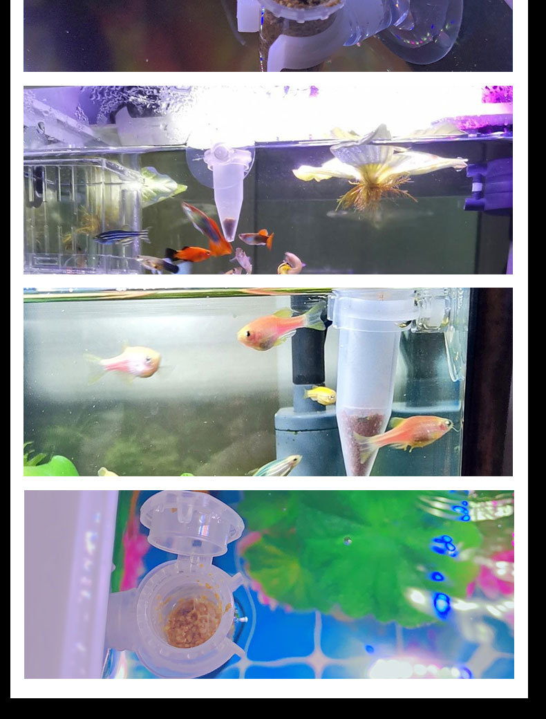 喂食器详情_06.jpg