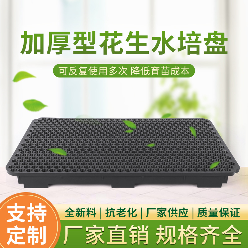花生穴盘3.jpg