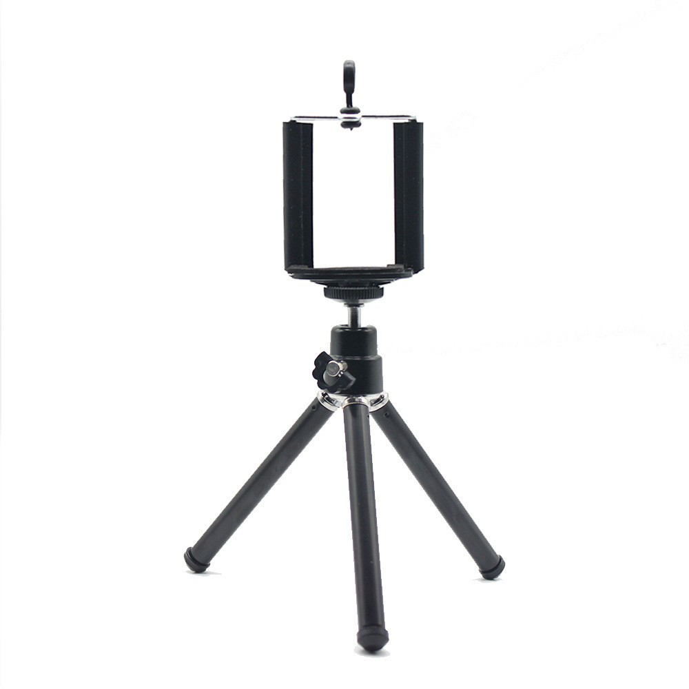 16839534226_1849848141