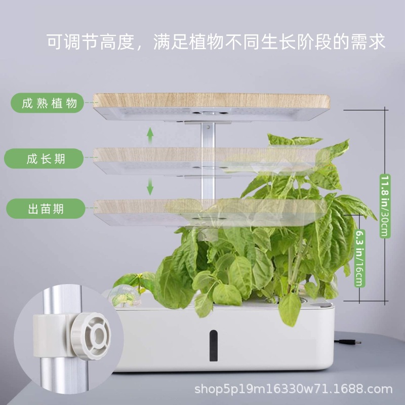 12.jpg?x-oss-process=image/format,png