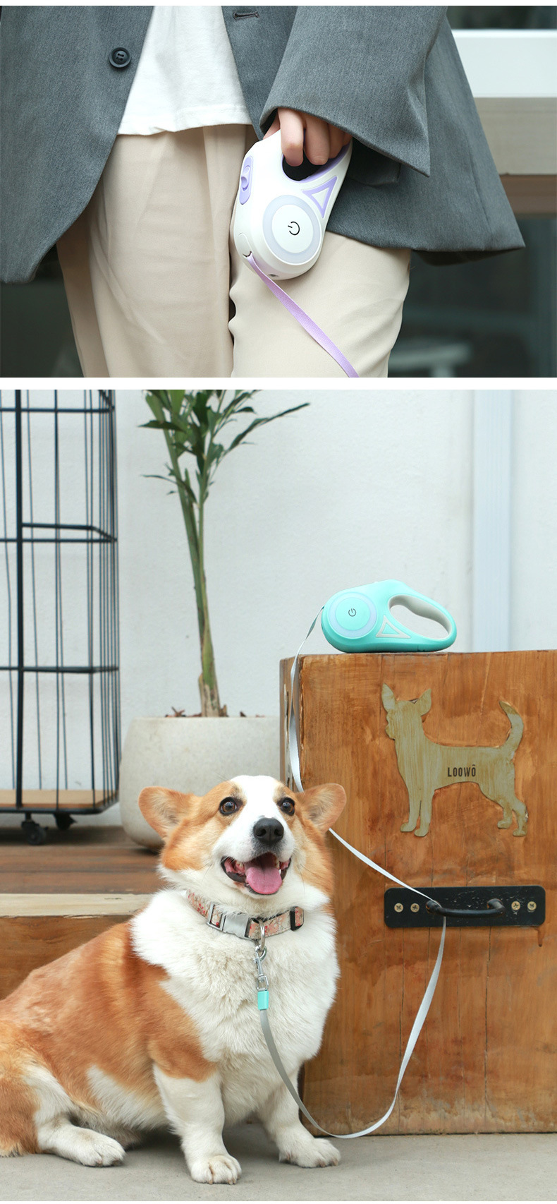 O1CN01i9JmER2APMRW0DiTl_!!2743