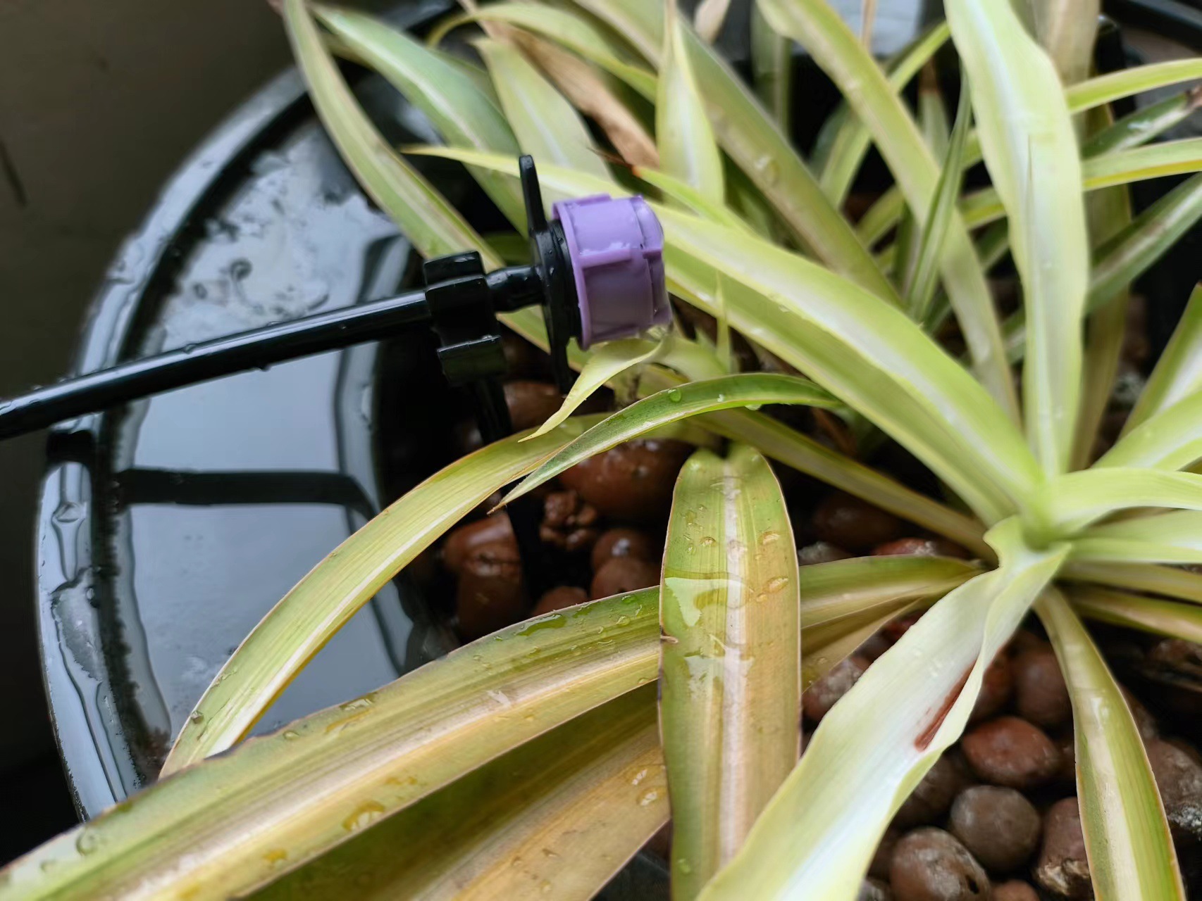 微信图片_20230419090825