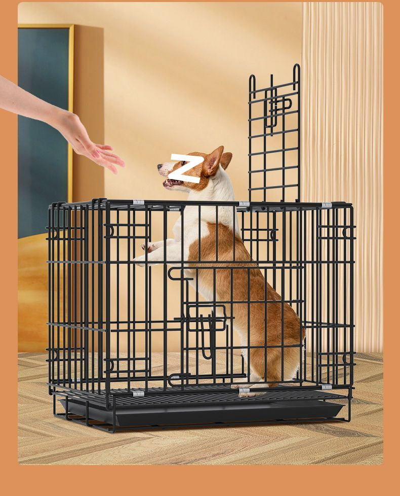 8259b62b-4002-4350-9a6d-0360bc761d2c.jpe