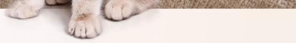 807a8690-da10-424e-9c80-802bc0d2d03d.jpe