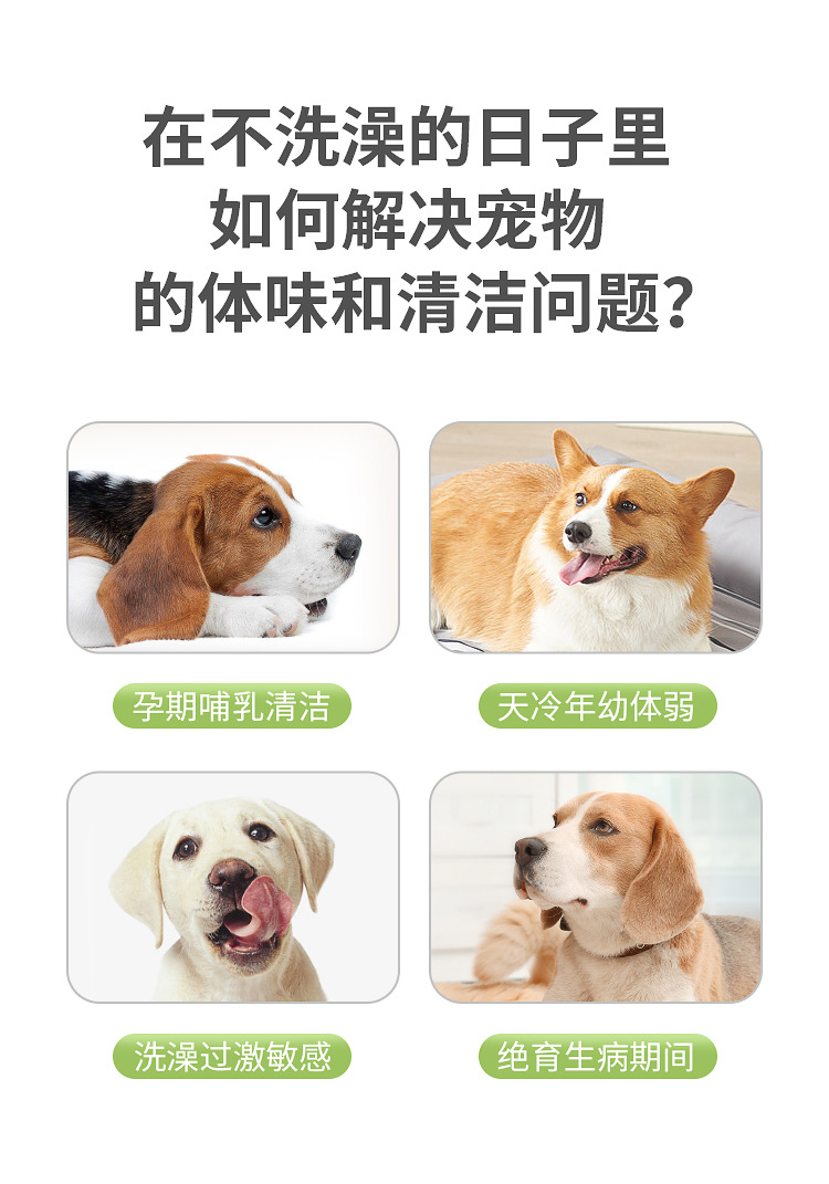 宠物免洗_03