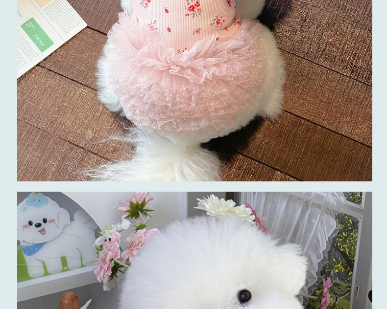 1011.jpg?x-oss-process=image/format,png