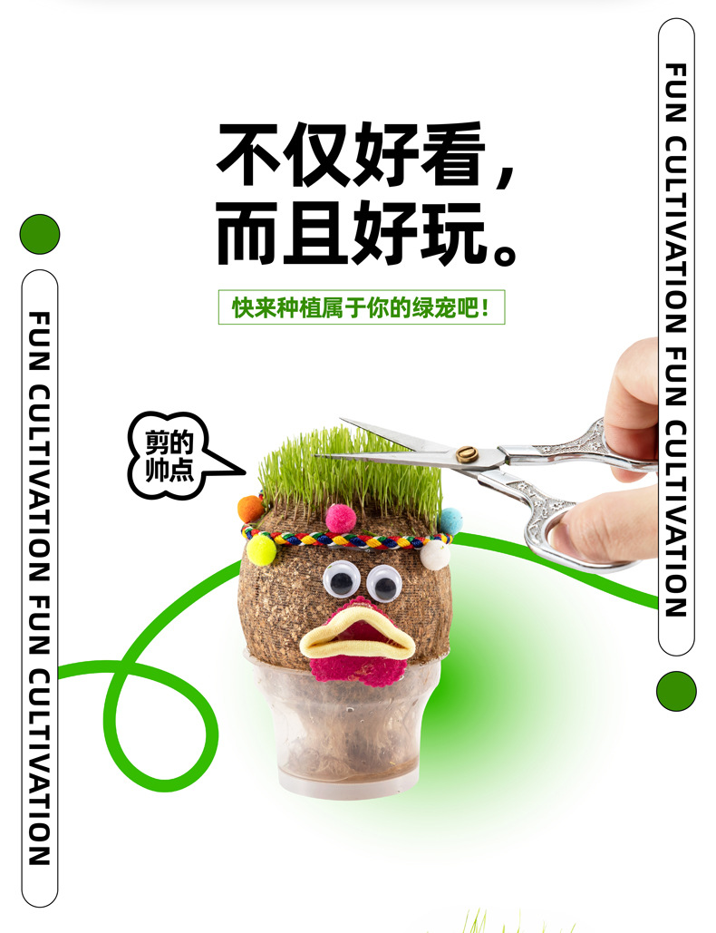 神奇袜草详情01 (2).jpg