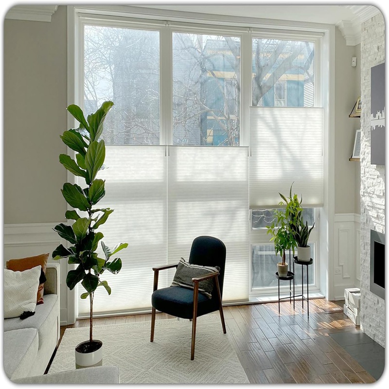 81msNUMOgaL._AC_SL1500_