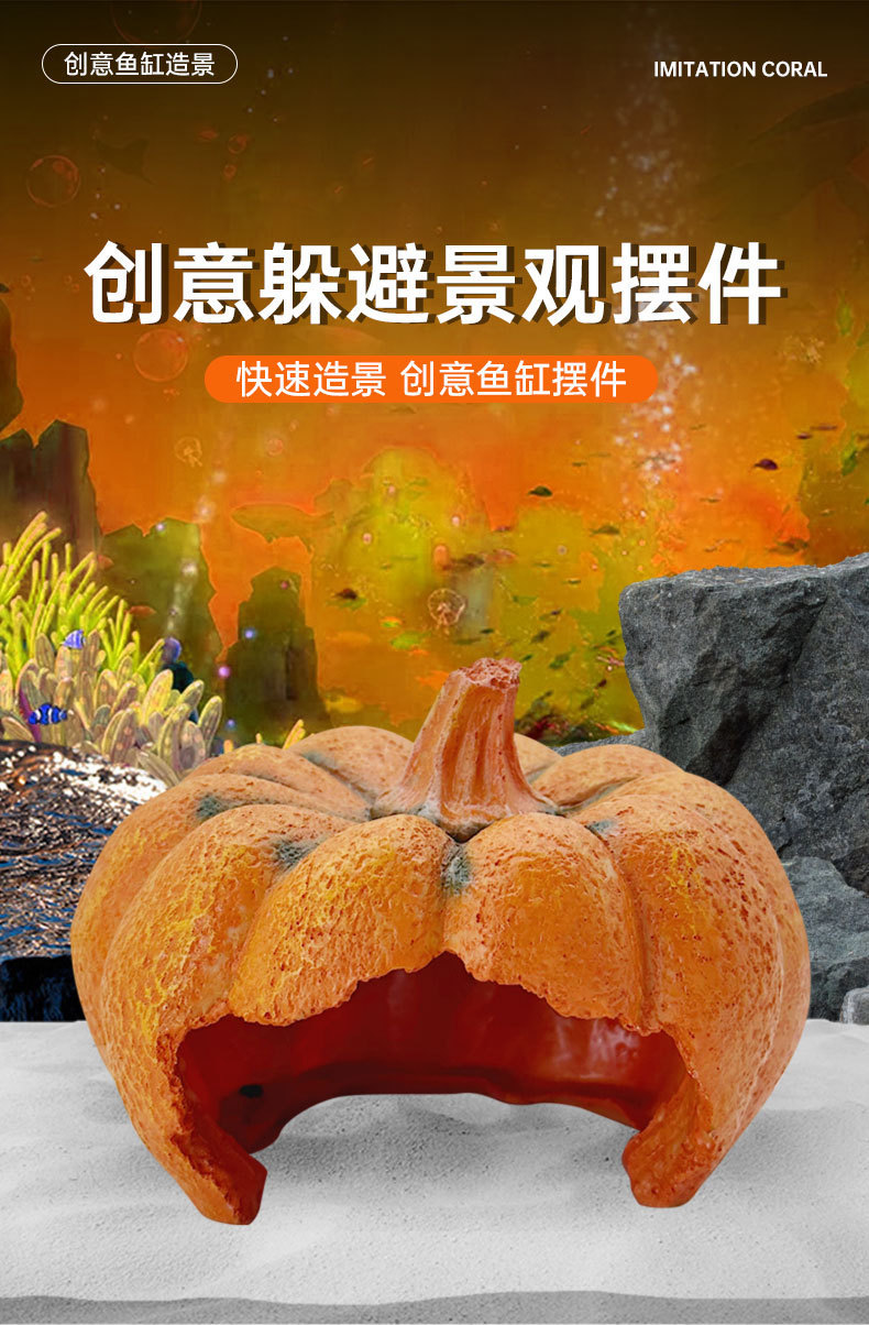 南瓜详情_01.jpg
