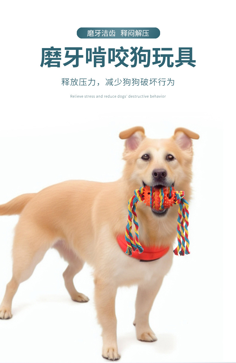 详情_01.jpg