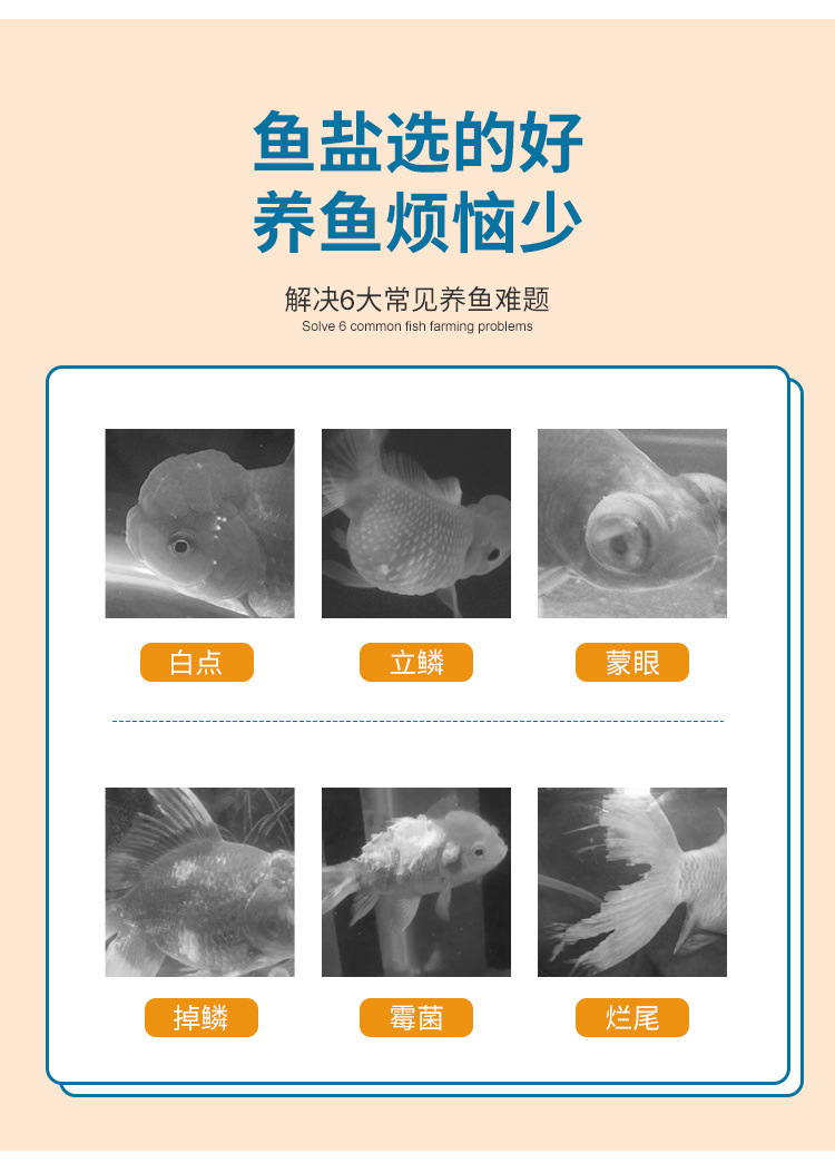 8eb50efb-5470-4a79-9e7f-56eb8eeb3f45.jpe