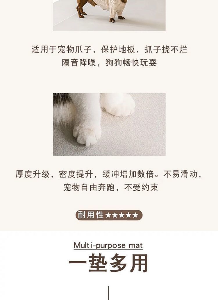 bbb563ed-853a-4938-aa71-58a5474854ad.jpe