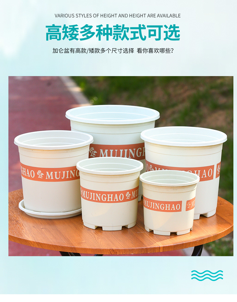 0303a8aa-26a1-42b0-b55a-68fbad91b1e2.jpe