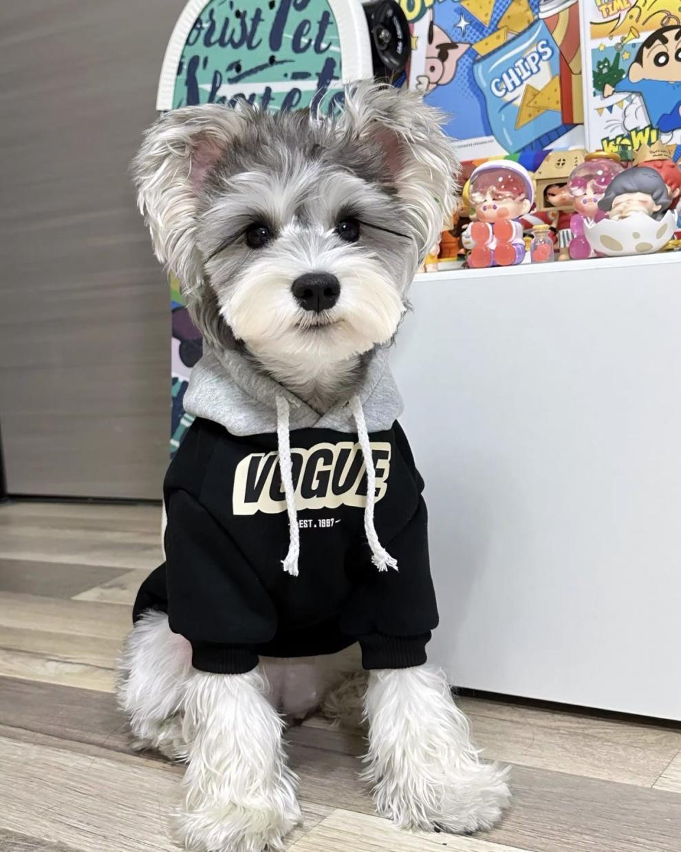 2e8d327d-26fa-4ec2-96ed-5aa454445876.jpe