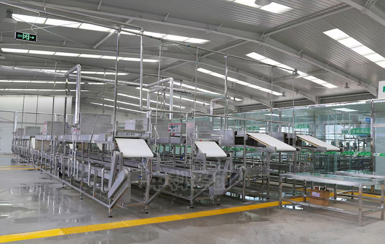 腐竹机厂家实力