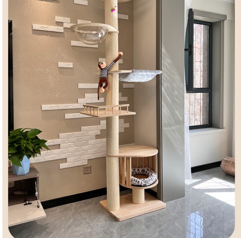 1b2323c9-ca5e-46cd-95d8-00ea5f98941b.jpe