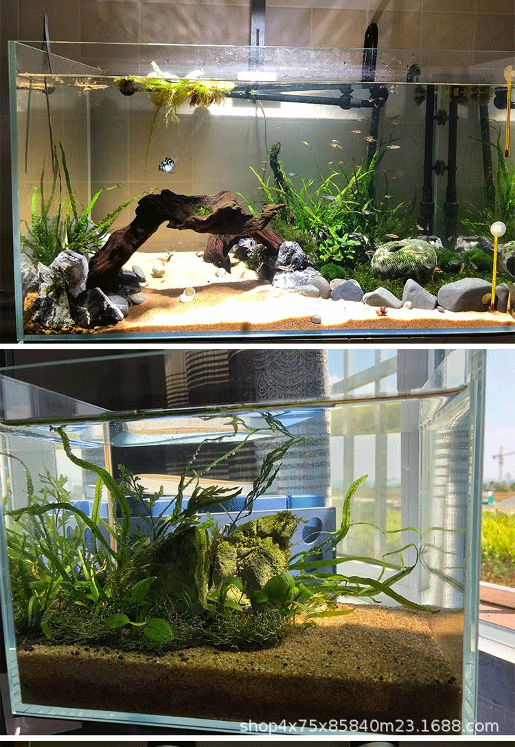超白金晶_10.gif