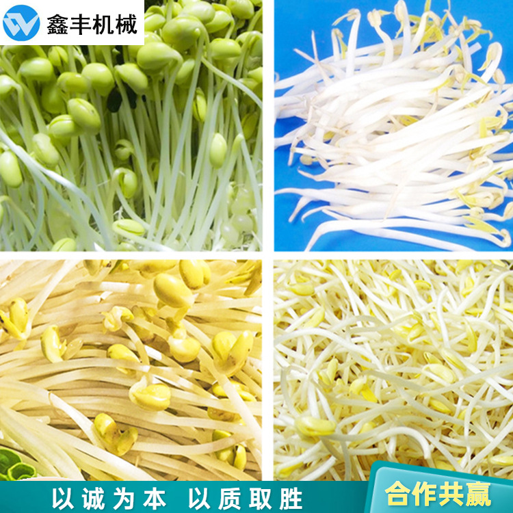 豆芽厂机器 (12).jpg