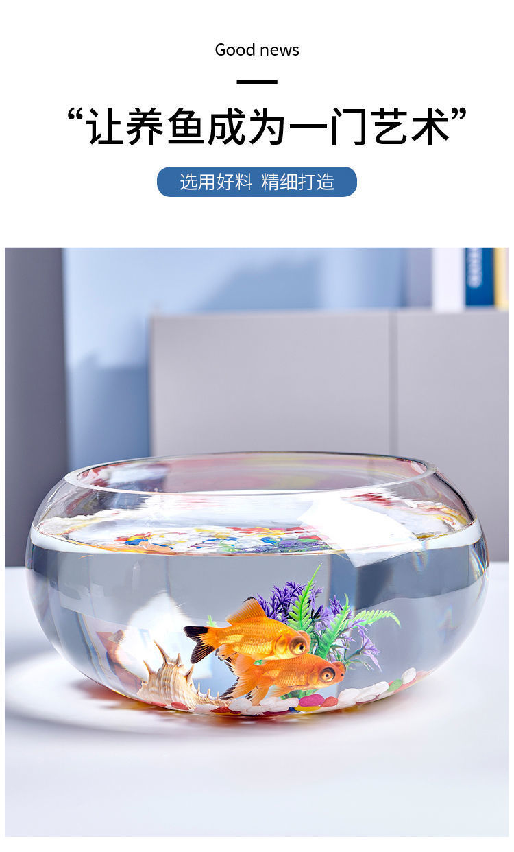 6f1cb140-0958-4d33-8072-617b89bb50e0.jpe