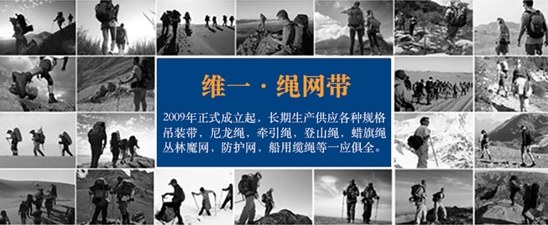 12342(1).png