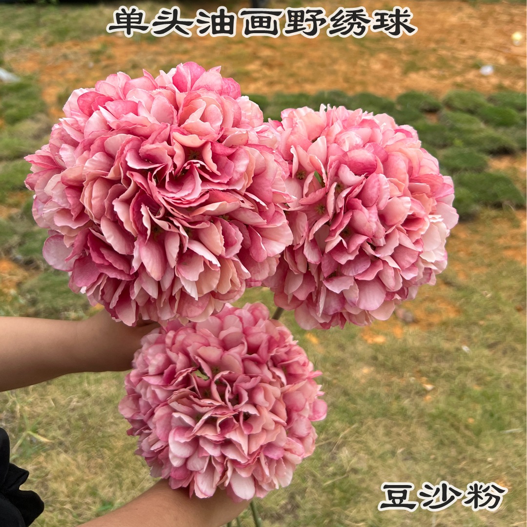 微信图片_20221114165237_副本