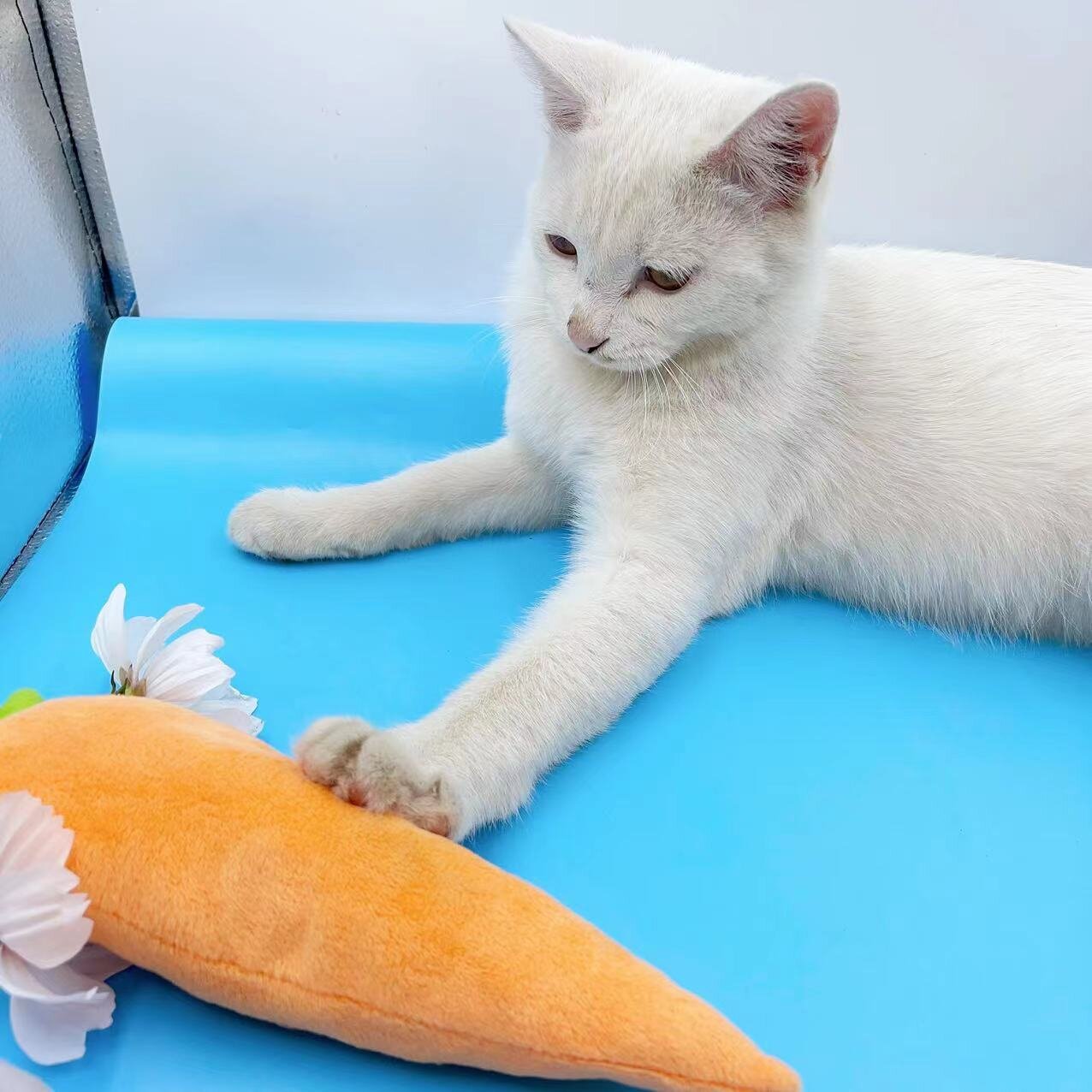 微信图片_20231017091237_1_proc