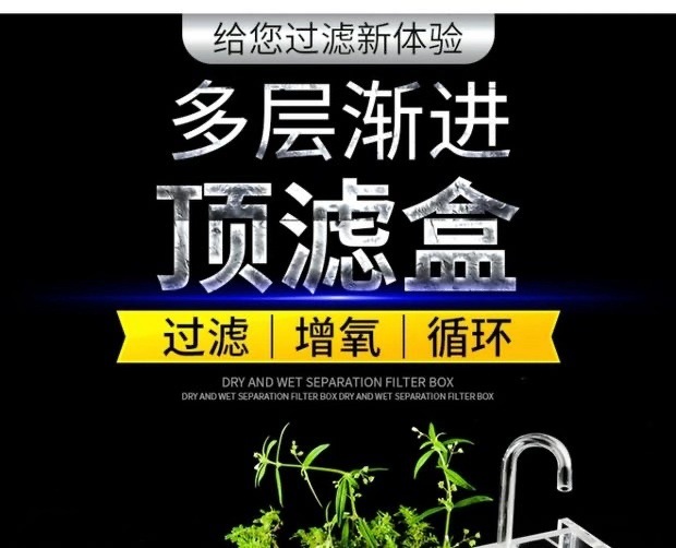 91645dcc-c94c-40d6-9316-8ab21e21bb9c.jpg