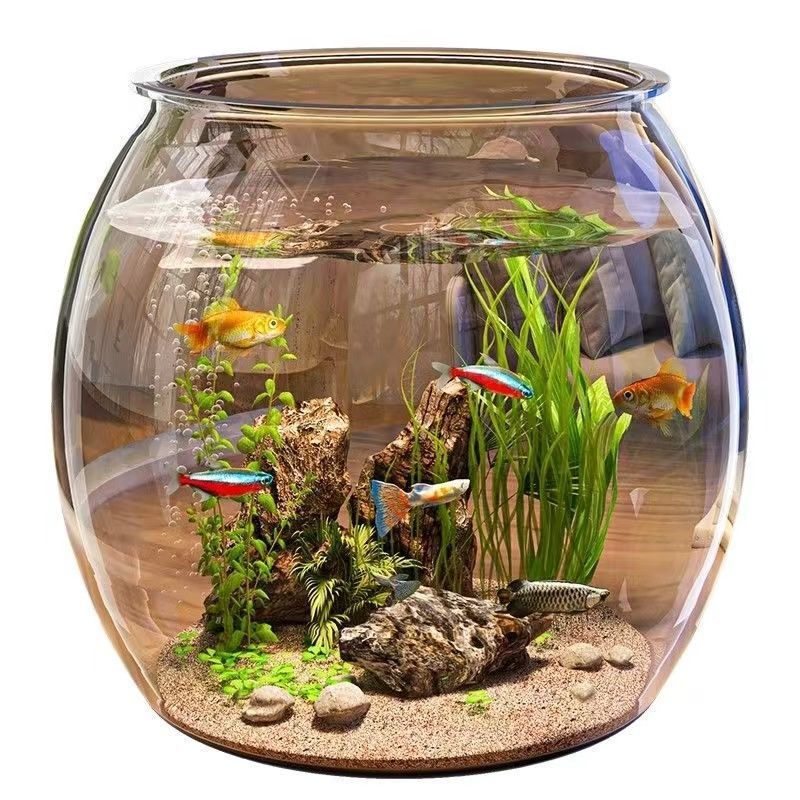 861fcd61-22fd-4bc6-ae1f-f182d533f627.jpe