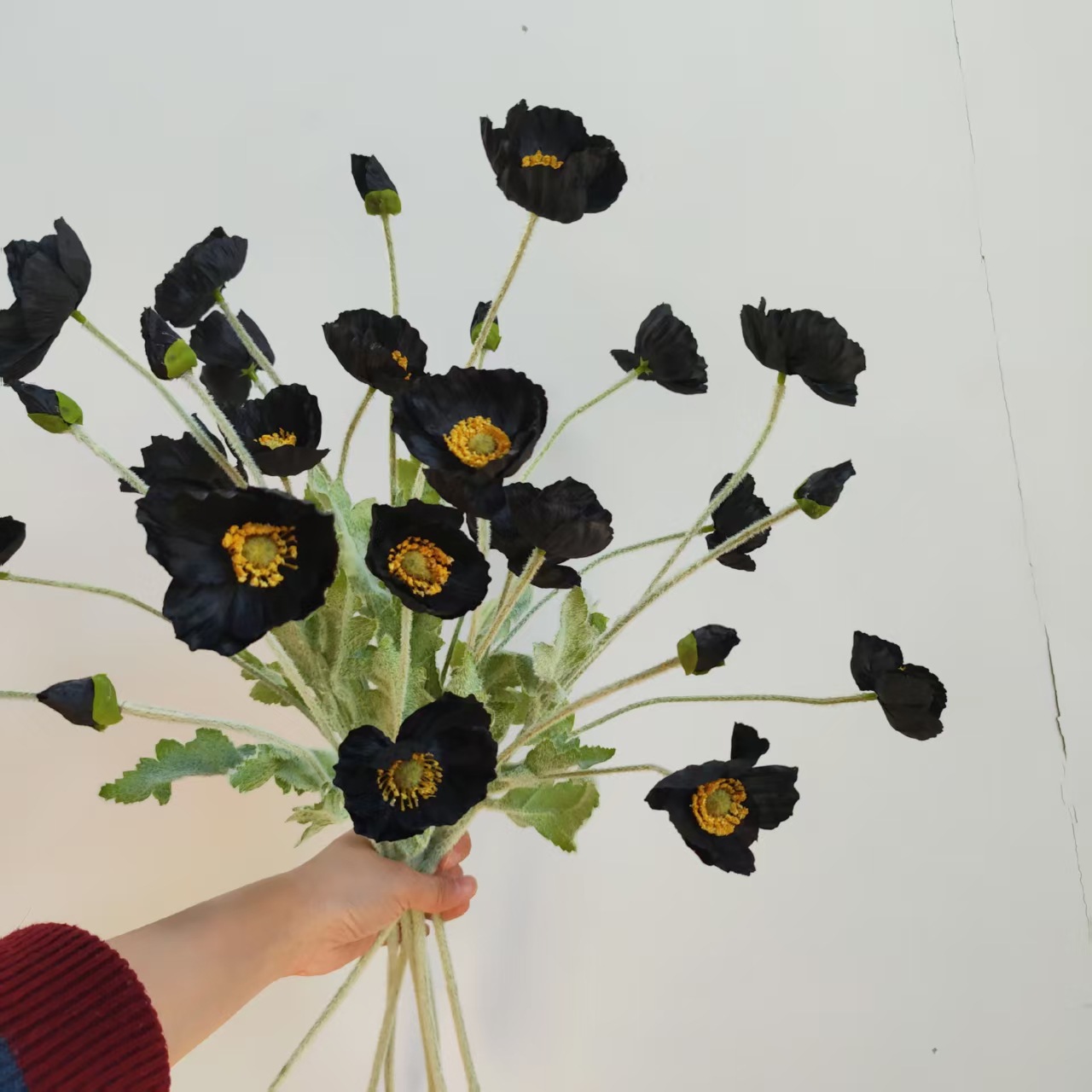 95f2ebe88850813e048660d30ff7fe