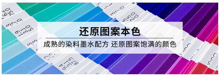 744569246306d897cf1ff-ee5b-4e2