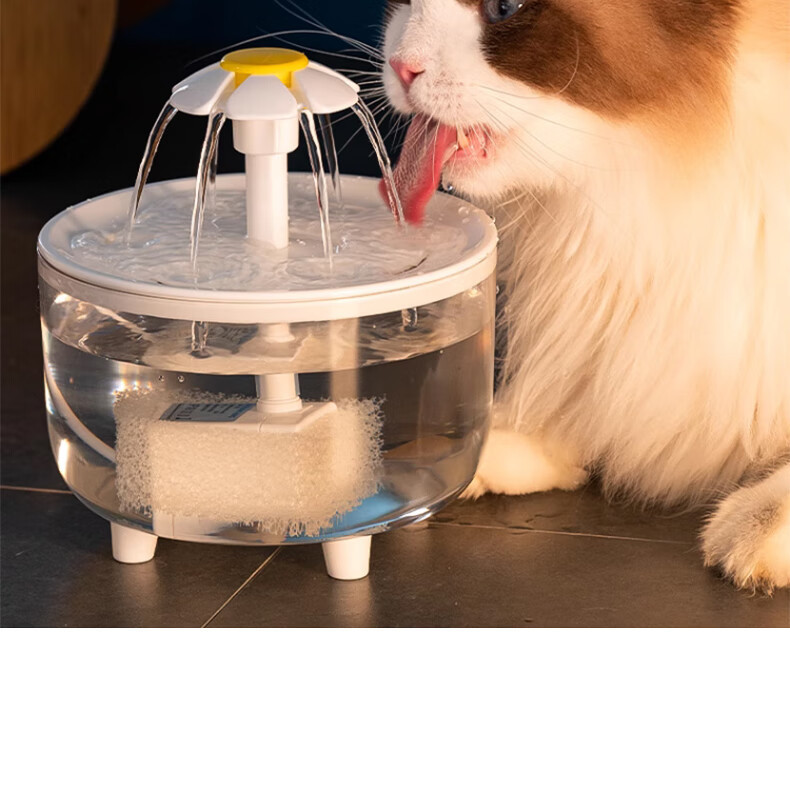 d6457206-f5e7-49c5-9db4-184b073dd938.jpe