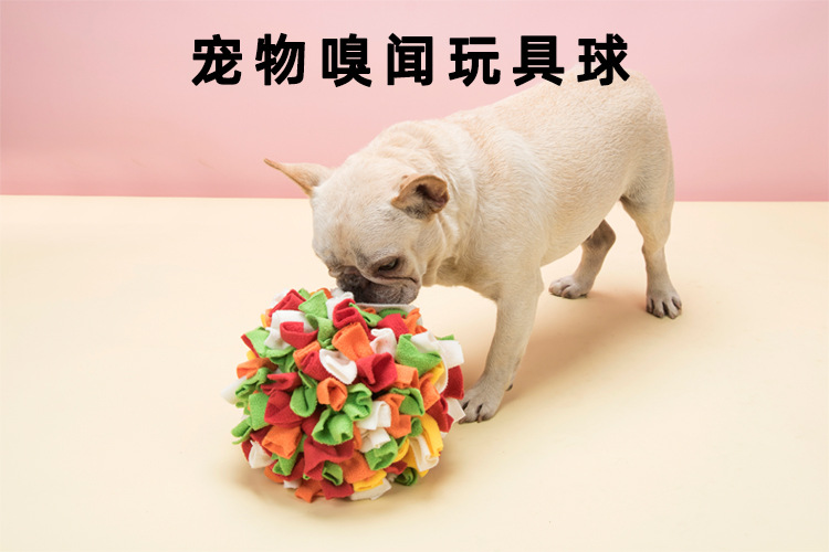 宠物闻嗅球_01.jpg