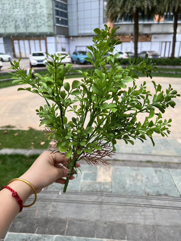 微信图片_20240805150137