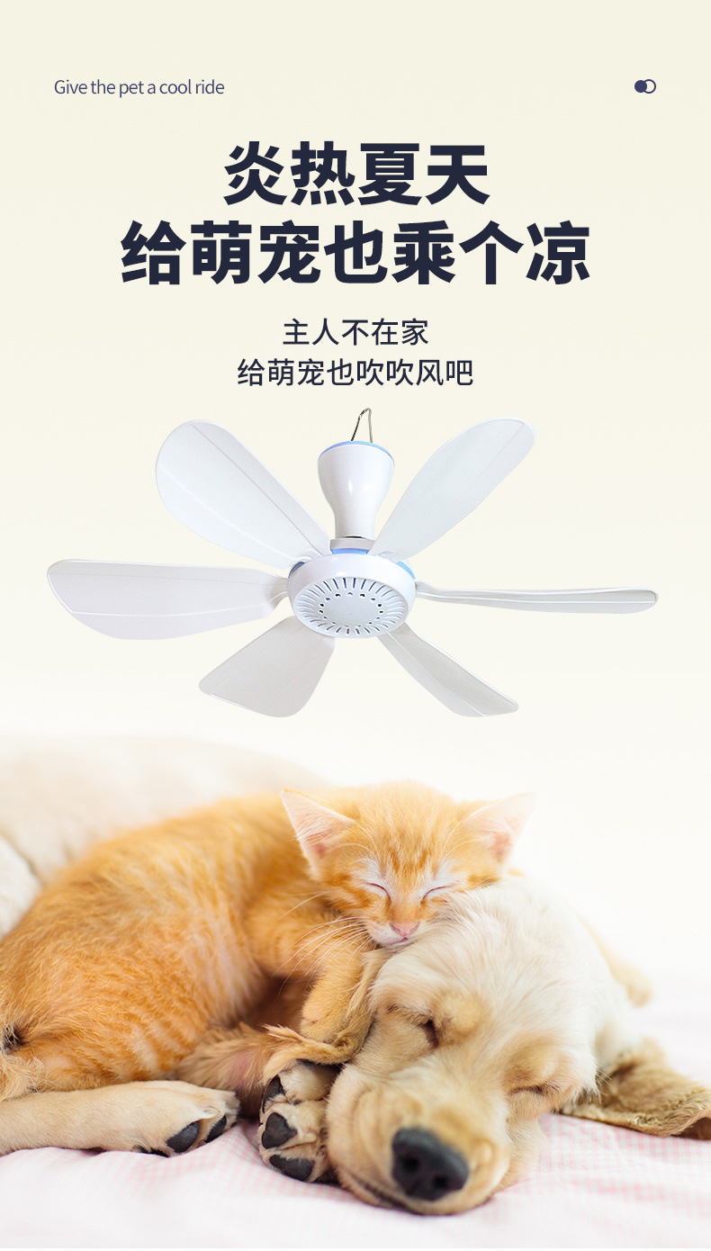 2ed278b3-d823-4fe6-9f40-939f5ffabf91.jpe